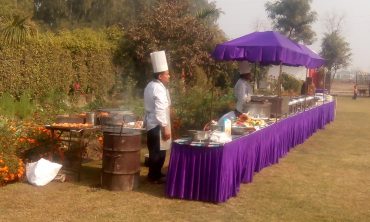 deluxe catering services